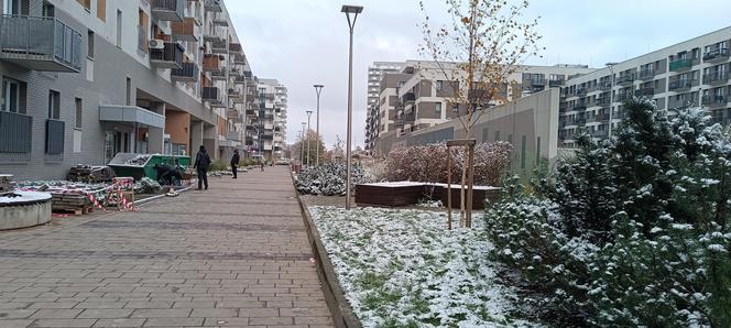 Pierwszy śnieg we Wrocławiu. Czy zima zaskoczyła kierowców? [ZDJĘCIA]