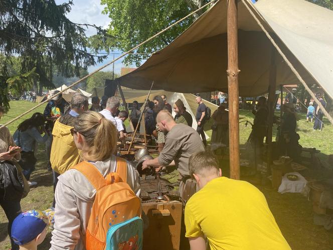 Piknik historyczny przy Muzeum Wojska Polskiego