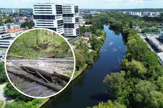 Do modernizacji nabrzeża Brdy w Bydgoszczy dojdzie wzdłuż ul. Żabiej. Kiedyś ulica znajdowała się w innym miejscu