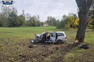 Pijany i z zakazem rozbił samochód na drzewie. Tragiczne wieści. Nie żyje 20-letnia pasażerka