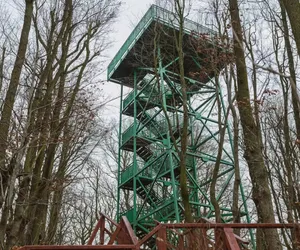 Wieża widokowa na wzgórzu Pachołek w Oliwie może zostać zamknięta nawet na pół roku!