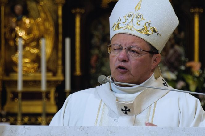 Kard. Grzegorz Ryś: jak budować pokój