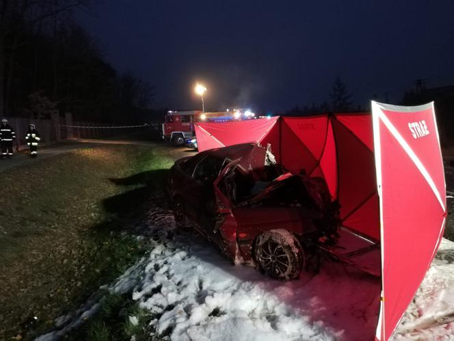 Śmiertelny wypadek pod Toruniem - policja poszukuje świadków