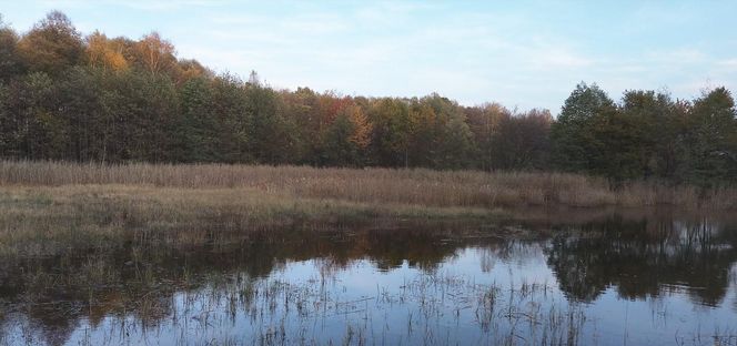 Idealne miejsce na jesienny spacer w Śląskiem - Kamień 