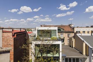 Duże okna i szklane drzwi umożliwiają dostęp naturalnego światła, podkreślając minimalistyczny charakter wnętrz