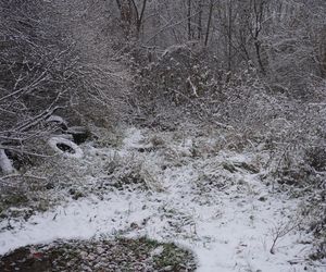 Zima w Świętokrzyskiem. Skarżysko-Kamienna (22.11.2024)