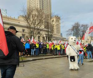 „Marsz gwiaździsty na Warszawę”. Wielki protest rolników 27 lutego w stolicy [RELACJA NA ŻYWO]