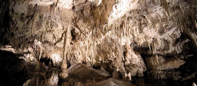 Jaskinia Raj - jedna z największych atrakcji turystycznych w Świętokrzyskiem
