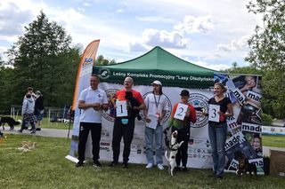 Festiwal Przyjaciół Zwierząt w Olsztynie. Park Centralny opanowały radosne pieski