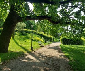 Park Miejski w Zamościu