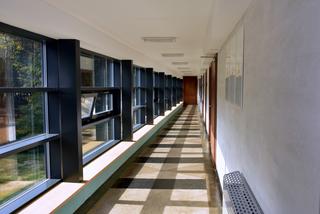 METAMORFOZA SZKÓŁ ARTYSTYCZNYCH