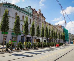  Trudno uwierzyć, że tak wyglądały Katowice. Te zdjęcia mówią wszystko 