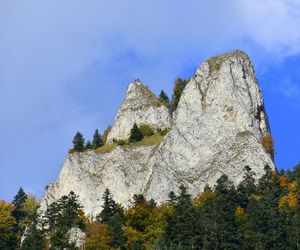 To najstarszy i najpiękniejszy park narodowy w Polsce. Warto odwiedzić go właśnie jesienią