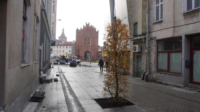 Alejka w centrum Olsztyna zmieniła się nie do poznania. Będzie najpiękniejsza w mieście? [ZDJĘCIA]