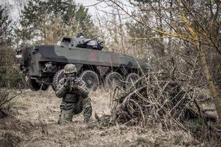 Piknik militarny w Toruniu. Zobacz, jakie atrakcje czekają na odwiedzających