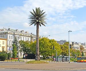 Warszawa. Palma przy rondzie de Gaulle'a przejdzie gruntowny remont. Ma nowego właściciela