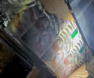 Podejrzane balony spadły na Warmii i Mazurach. Policja apeluje do mieszkańców