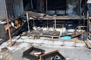 Tragiczny finał pożaru w Toruniu. Ogień pojawił się niespodziewanie, zginął piesek