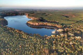 Jezioro Cisie lub też nazywane Czyste niedaleko Gorzowa