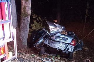Nissan rozbił się na drzewie! Nie żyje 14-latka i jej mama. Tragedia we Wręczycy Wielkiej