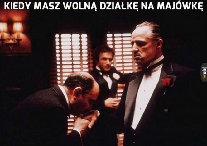 Majówka 2023 zbliża się wielkimi krokami! Zobacz najlepsze memy!