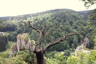 Najpiękniejsze parki narodowe w Polsce - które warto odwiedzić?