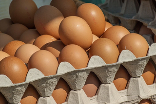 Jajka - zdjęcie ilustracyjne
