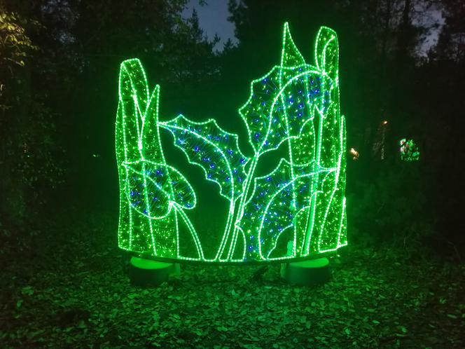 Park Iluminacji w Poznaniu