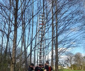 Wystraszony kotek kilkanaście metrów na ziemią