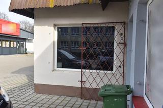  37 martwych zwierząt w siedzibie fundacji, która miała opiekować się psami i kotami