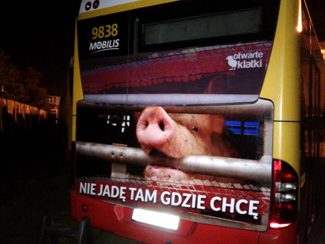 W takich warunkach transportowane są zwierzęta! Kampania na warszawskich autobusach