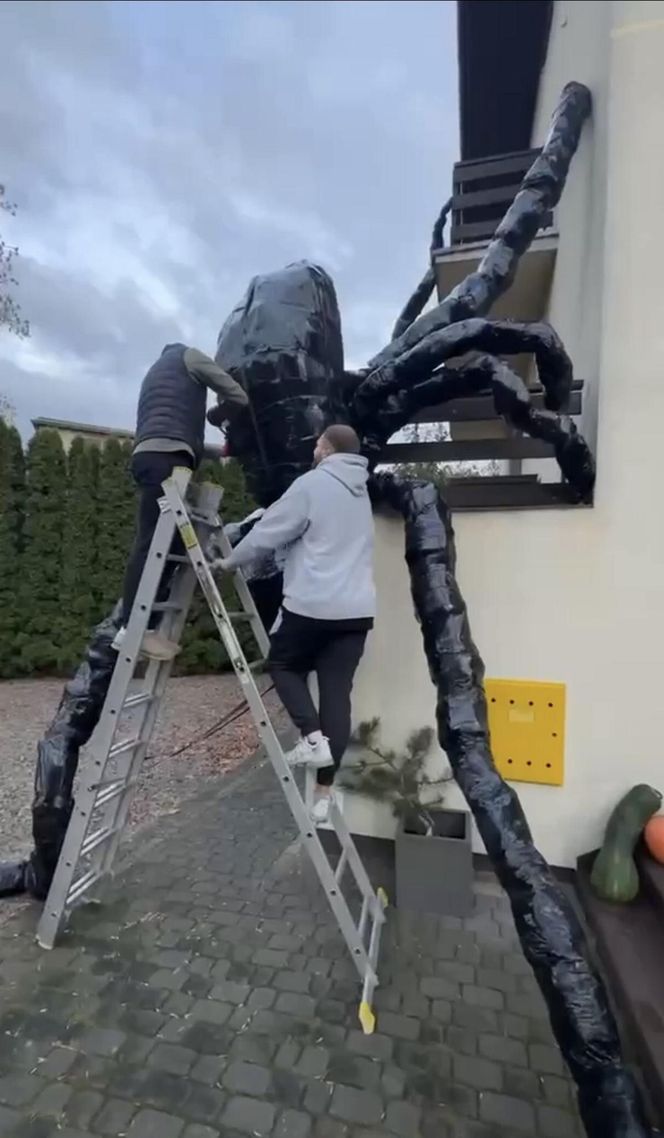 Gigantyczny pająk z plastikowych butelek ozdobił dom w Lublinie