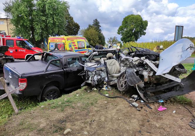 Masakra na drodze. Karambol i śmierć na chwilę przed lądowaniem LPR