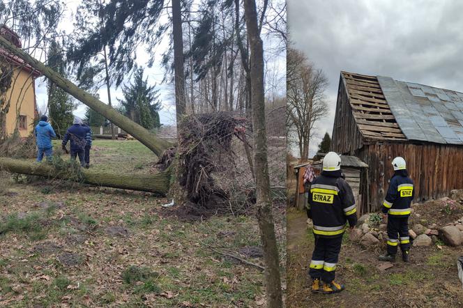 Blisko 150 interwencji siedleckich strażaków w związku z wichurami w ciągu ostatnich dni, interweniowali m.in. druhowie OSP Wiśniew