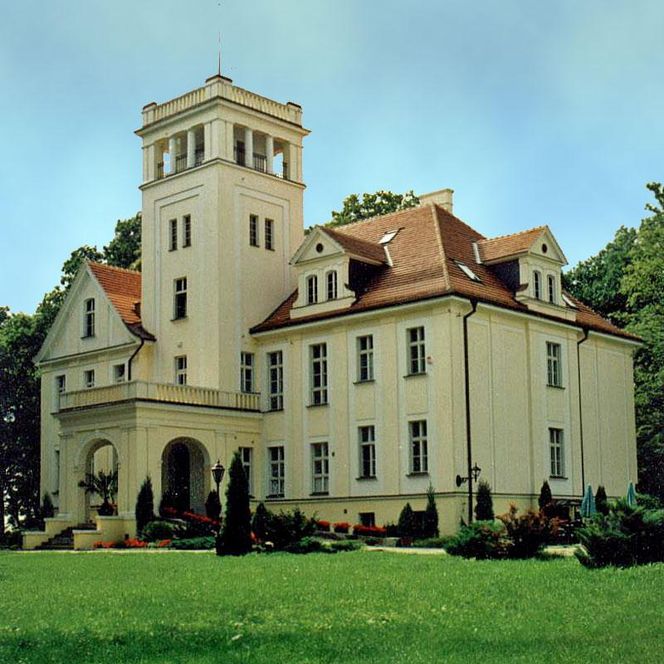Pałac w Witosławiu