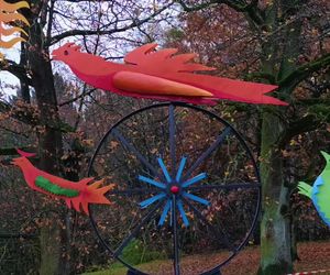 Ogniste Ptaki w Parku Kasprowicza w Szczecinie