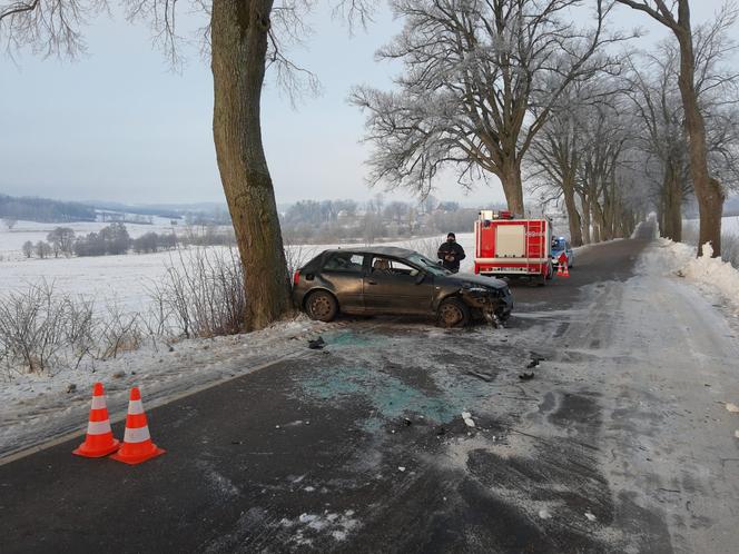 Ełdyty Wielkie. Wypadek na DW 593. Audi wpadło w poślizg i uderzyło w drzewo [ZDJĘCIA]