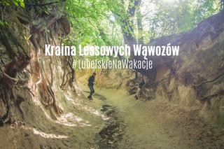 Kraina Lessowych Wąwozów - turystyczny skarb Lubelskiego