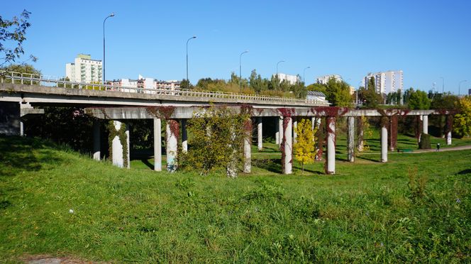 Filary porośnięte bluszczem w Lublinie! Tak się prezentują w jesiennej odsłonie