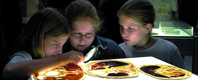 Body Worlds: Wystawa, której nigdy nie zapomnisz