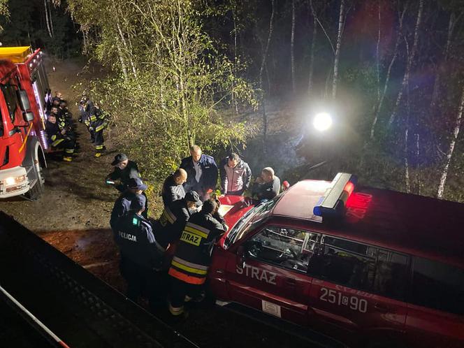 W podbydgoskim lesie zaginął grzybiarz 