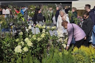 Jesienny Kiermasz Ogrodniczy w Bydgoszczy przyciągnął miłośników zieleni i smakołyków!