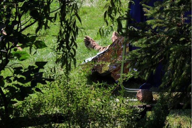 Karczówka - 7 osób zginęło w szambie