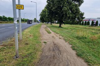 ​Będzie nowa ścieżka pieszo-rowerowa na Gronowie w Lesznie. Którędy będzie wiodła?