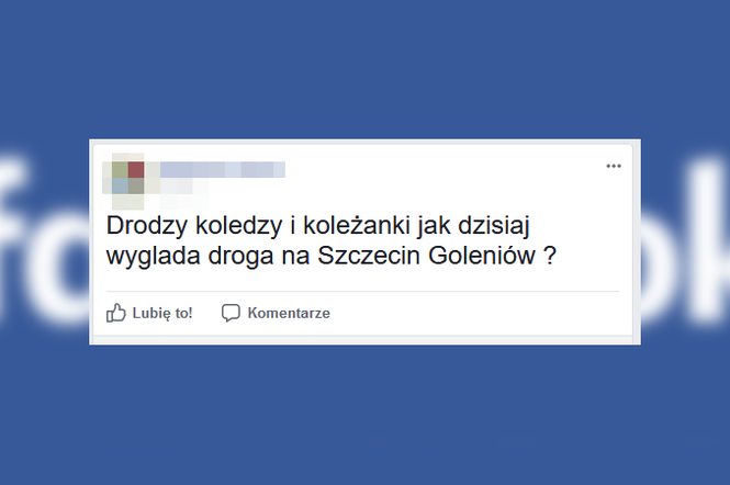 Najczęściej zadawane pytania na szczecińskich grupach podczas świąt Bożego Narodzenia