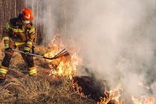 Pod Płońskiem ujawniono zwęglone ciało kobiety. To pierwszy taki przypadek w tym roku