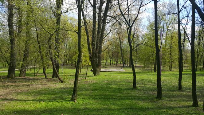 Park Prochownia w Czeladzi