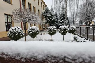 Śnieg spadł na święta. 