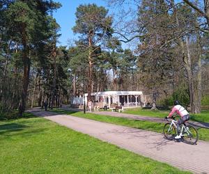 Mieszkańcy korzystają ze słonecznej pogody. Na plaży w Jelitkowie widać już pierwszych spacerowiczów!