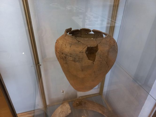 "W poszukiwaniu początków Leszna". Nowa wystawa w muzeum w Lesznie